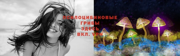 спайс Заволжье