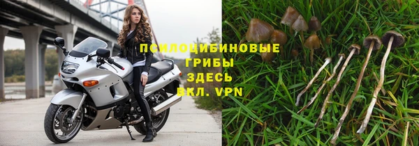 марки lsd Заволжск