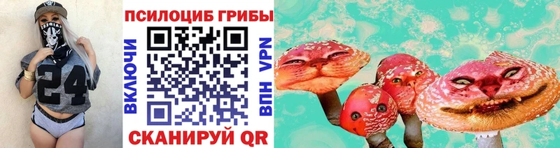 Галлюциногенные грибы мицелий  Купить  Дзержинск 
